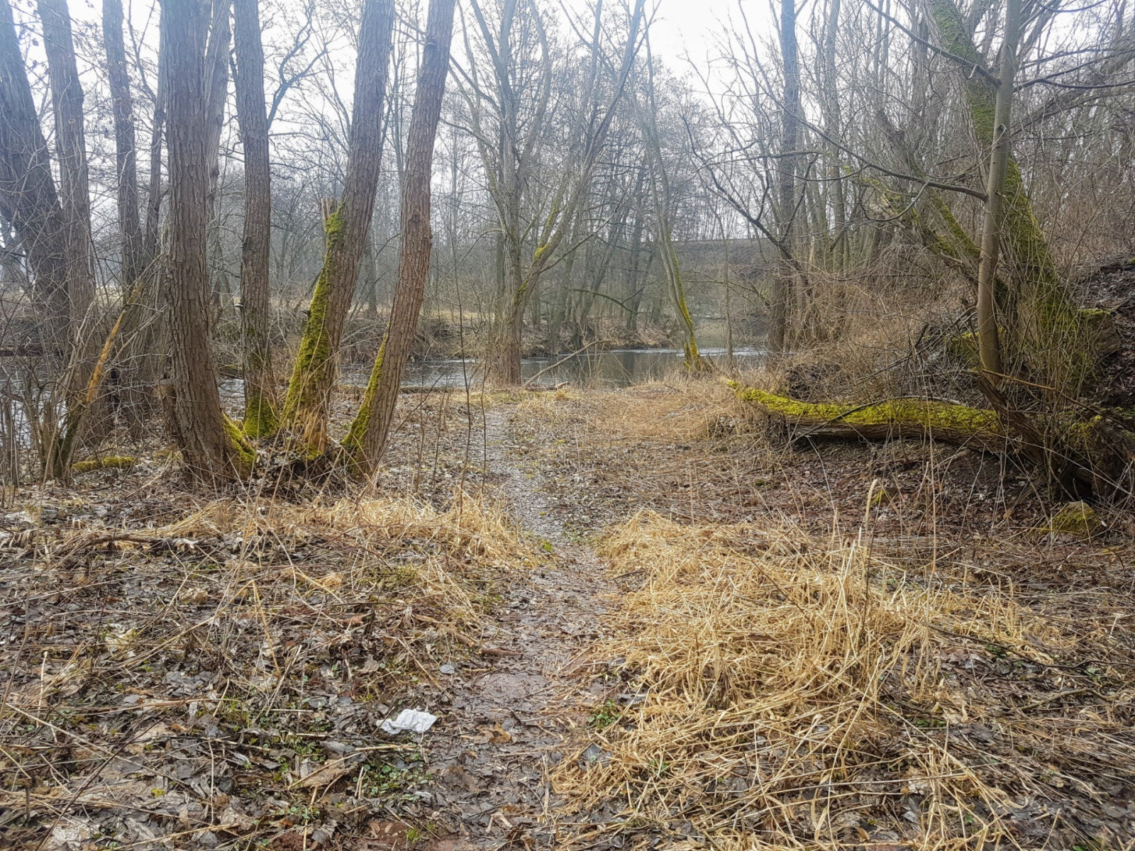 P�ina pod�l Labe okolo �isti�ky